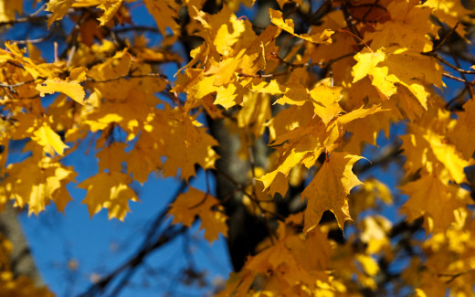 1755796 (a): :4272x2670